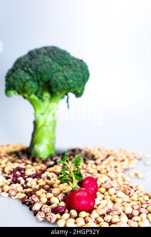 Liebe und veganes Essen: Zwei rote Radieschen unter einem Brokkoli-Baum auf Pinto-Bohnen, Perlgerste, Soja, Azuki-Bohnen Stockfoto