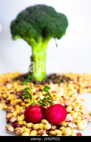 Liebe und veganes Essen: Zwei rote Radieschen unter einem Brokkoli-Baum auf Pinto-Bohnen, Perlgerste, Soja, Azuki-Bohnen Stockfoto