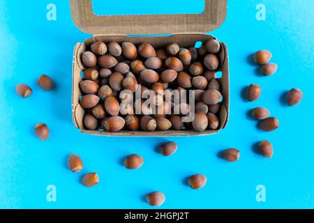 Box mit Haselnüssen über Stein Tisch, einem blauen Hintergrund Flatlay Stockfoto