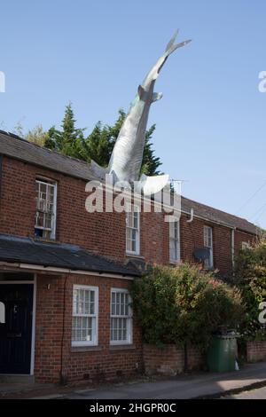 Bill Heine's Shark in einer Dachstatue in Headington, Oxford, Großbritannien Stockfoto