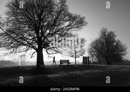 Spaziergang im Park Stockfoto