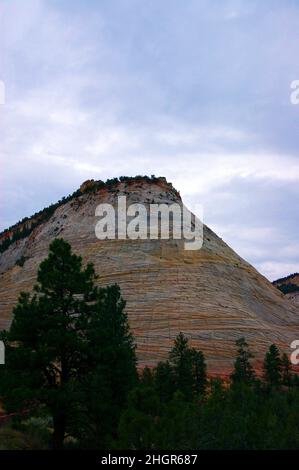 Blick am frühen Morgen auf das Schachbrett mesa im Zion National Park, Utah Stockfoto