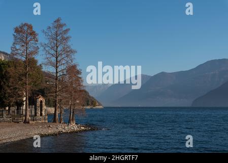 Strand und Bäume an der Westküste des Iseo-Sees, am Ufer der lombardischen Gemeinde Riva di Solto in der Provinz Bergamo Stockfoto