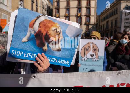 Barcelona, Spanien. 22nd Januar 2022. Während der Demonstration halten Demonstranten Plakate gegen Tierversuche.Hunderte von Menschen haben sich auf der Plaza de Sant Jaume versammelt, die von der Tierrechtspartei Pacma aufgerufen wurde, gegen die Experimente mit dreißig Beagle-Welpen zu protestieren, die von den Labors in Vicotecnia in einem pharmakologischen Forschungsprojekt durchgeführt wurden. (Foto von Paco Freire/SOPA Images/Sipa USA) Quelle: SIPA USA/Alamy Live News Stockfoto