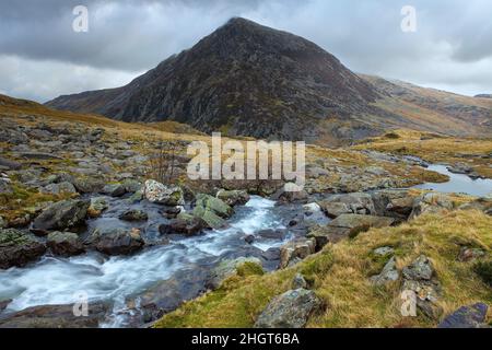 Mount Pen yr ole wen im Hintergrund Bergbach wales Stockfoto