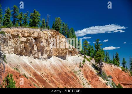 Luftaufnahme des Bryce Canyon an einem schönen Sommertag. Blick auf orange bunte Hoodoos rote Felsformationen im Bryce Canyon National Park, Utah - U Stockfoto