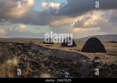 Turfstacks auf den Drüsen der Grafschaft Mayo in Irland. Das Schneiden und Verwenden von Rasen ist eine tief verwurzelte Tradition. Stockfoto