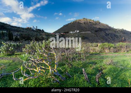 Vulkanische Caldera in Bandama. Gran Canaria. Kanarische Inseln Stockfoto