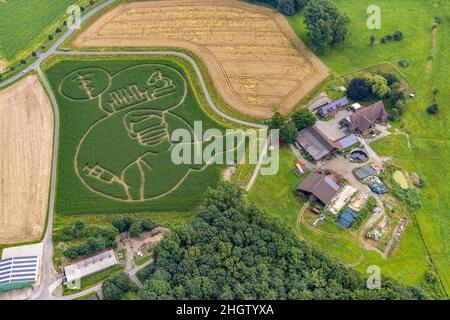 Luftbild, Aerial, Benedikt Lünemann zaubert jedes Jahr ein Maislabyrinth auf seinem Feld. Meist sind die Motive gesellschaftskritisch oder politisch. Dieses Jahr Stockfoto