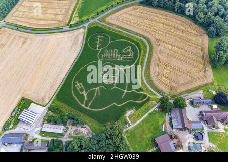 Luftbild, Aerial, Benedikt Lünemann zaubert jedes Jahr ein Maislabyrinth auf seinem Feld. Meist sind die Motive gesellschaftskritisch oder politisch. Dieses Jahr Stockfoto