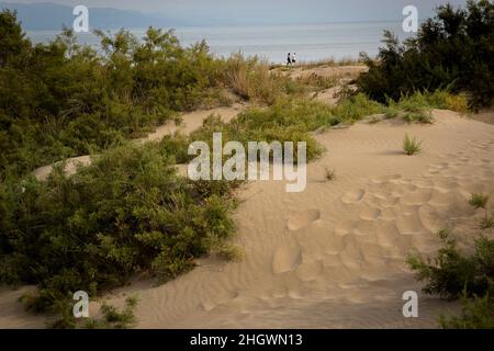 Strand von Riumar, Sant Carles de la Rapita, Ebro Delta, Naturpark, Tarragona, Spanien Stockfoto