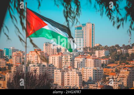 Palästina-Flagge wie durch die Baumblätter mit einigen Stadtgebäuden im Hintergrund in ramallah Stockfoto