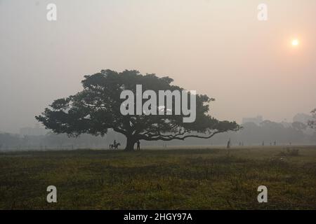Kalkutta, Westbengalen, Indien. 21st Januar 2022. In den frühen Morgenstunden wird in Kalkutta dichter Nebel beobachtet. (Bild: © Rahul Sadhukhan/Pacific Press via ZUMA Press Wire) Stockfoto