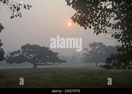 Kalkutta, Westbengalen, Indien. 21st Januar 2022. In den frühen Morgenstunden wird in Kalkutta dichter Nebel beobachtet. (Bild: © Rahul Sadhukhan/Pacific Press via ZUMA Press Wire) Stockfoto
