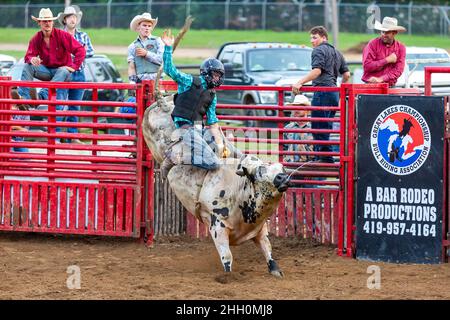 Der Speichel fliegt von einem wütenden Bullen, während ein Cowboy versucht, auf dem Rücken zu bleiben, während andere Cowboys zusehen. Stockfoto