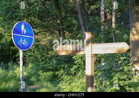 Ansicht von blauem Verkehrsinformationsschild und Zielrichtungspfeil mit Baumblätterhintergrund in Itzehoe, Deutschland. Keine Personen. Stockfoto