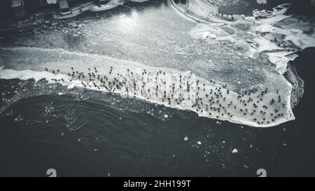 Aus dem Staudamm breitet sich ein massiver Eisschild aus. Enten stehen und schwimmen um das Eis herum. Auf diesem Foto mit Graphitmotiven leuchtet die Sonne vom Eis. Stockfoto