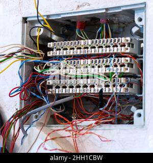 Offene Anschlussdose mit hervorstehenden Drähten, vorbereitet für die Montage und den Anschluss von Telefon- und Computerkabeln. Selektiver Fokus Stockfoto