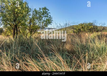 Eine feuchte Landschaft Blick auf Berge, braun und grün Savanne Grasland bedeckt mit Wassertropfen und regen Pfützen nach einem Regensturm, Pilanesburg Stockfoto
