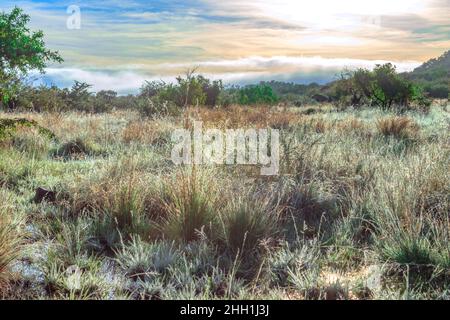 Eine feuchte Landschaft Blick auf Berge, braun und grün Savanne Grasland bedeckt mit Wassertropfen und regen Pfützen nach einem Regensturm, Pilanesburg Stockfoto