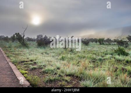 Eine feuchte Landschaft Blick auf Berge, braun und grün Savanne Grasland bedeckt mit Wassertropfen und regen Pfützen nach einem Regensturm, Pilanesburg Stockfoto