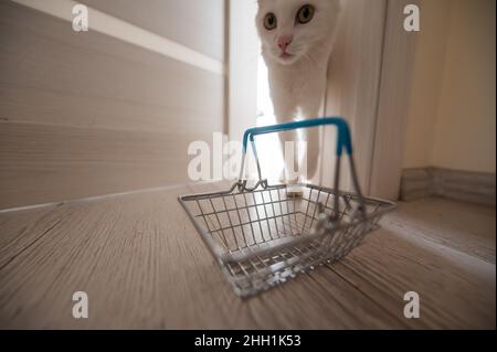 An der offenen Tür steht ein leerer Mini-Einkaufswagen. Weiße, flauschige Katze in der Tür. Konzept des Online-Shoppings mit Lieferung nach Hause. Stockfoto