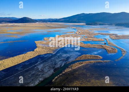 Trockenes, gelbes Schilf und Eis auf dem halbgefrorenen intermittierenden See Cerknica, Slowenien Stockfoto