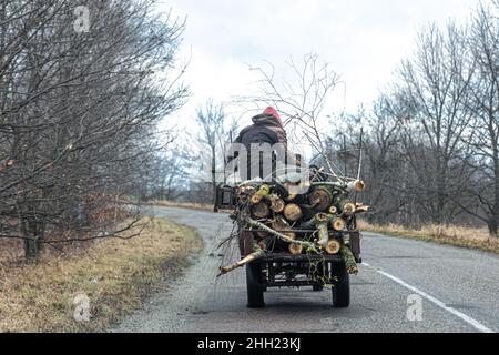 Wagen mit Baumstämmen, ländliche Landschaft, Rückansicht. Stockfoto