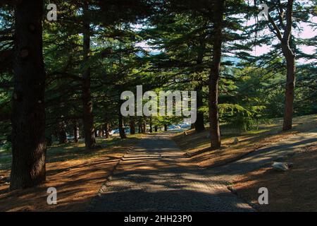 Parco della Rimembranza in Triest, Italien, Europa Stockfoto