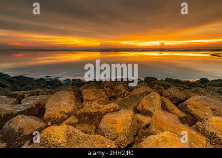 Schlammiger Strand in Kuala Selangor, Selangor, Malaysia Stockfoto