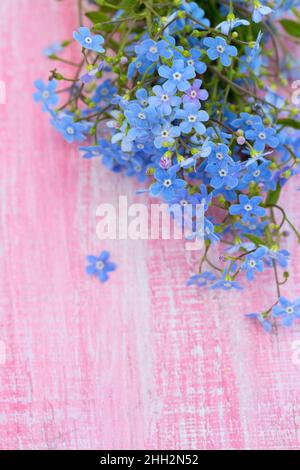 Vergessliche Blumen auf hölzerner Oberfläche Stockfoto