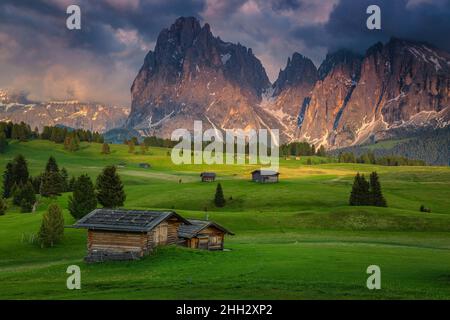 Traumhafte Frühlingslandschaft mit Holzchalets auf den blühenden grünen Feldern und verschneiten Bergen im Hintergrund bei Sonnenuntergang, Seiser Alm, Dolomiten, Ital Stockfoto