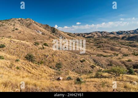 Atascosa Mountains, in der Nähe der mexikanischen Grenze, Blick von der Ruby Road, Coronado National Forest, Arizona, USA Stockfoto