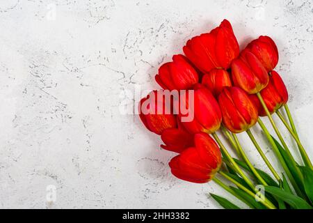 Rote Tulpen auf weißem Betongrund. Platz für eine Inschrift. Die Grundlage für die Postkarte. Blick von oben. Stockfoto