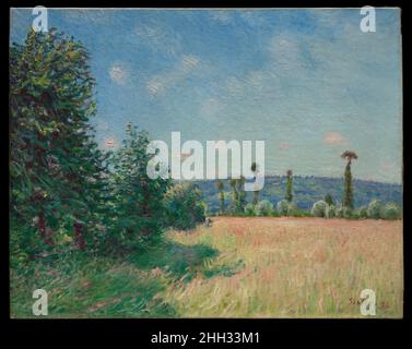 Sahurs Meadows in Morning so 1894 Alfred Sisley der Brite Sisley verbrachte den Sommer 1894 in Le Mesnil-Esnard auf dem Anwesen seines Freundes und Mäzens, François Depeaux, eines wohlhabenden normannischen Industriellen. Dort malte Sisley sieben Ansichten der Coteaux de la Bouille und der Sahurs-Wiesen neben Rouen. Depeaux kaufte fünf der Bilder, einschließlich der vorliegenden Arbeit.. Sahurs Meadows in Morning Sun Alfred Sisley (britisch, Paris 1839–1899 Moret-sur-Loing). 1894. Öl auf Leinwand. Gemälde Stockfoto