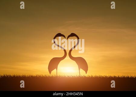 Silhouette von Flamingo in Herzform auf Grasfeld bei Sonnenuntergang Hintergrund. Stockfoto