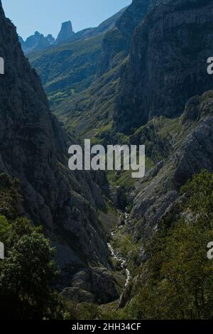 Blick auf Naranjo de Bulnes in Picos de Europa von Camarmena in Asturien, Spanien, Europa Stockfoto