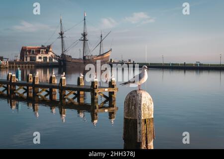 Möwe auf einem Holzbalken mit Wasser und Booten im Hintergrund. Standort Volendam in den Niederlanden Stockfoto