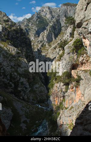Wanderweg Ruta del Cares von Poncebos nach Cain in Picos de Europa in Asturien, Spanien, Europa Stockfoto