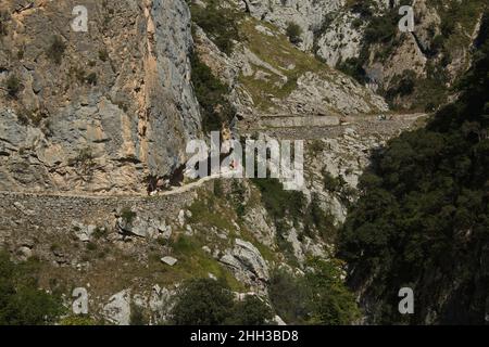 Wanderweg Ruta del Cares von Poncebos nach Cain in Picos de Europa in Asturien, Spanien, Europa Stockfoto