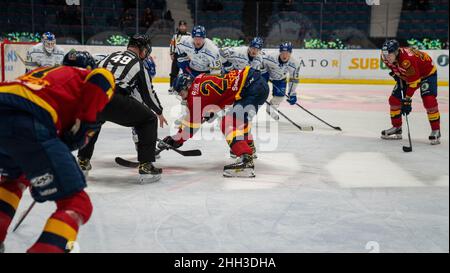 Ishockey, SHL, Djurgarden - Leksand bei hovet in Stockholm Schweden 20220122. Hochwertige Fotos Stockfoto