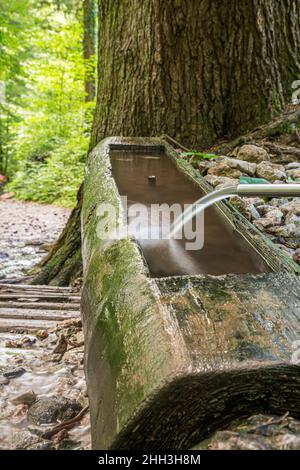 Ein Strahl aus frischem Quellwasser, der aus einem Metallauslauf aus einem Steinbrunnen im Berg kommt. Stockfoto