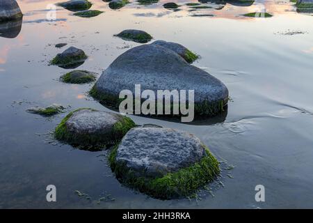 Blaue Stunde nach dem Sonnenuntergang über der felsigen Ostsee kosten. Kleine Steine und große Felsbrocken im Meer. Langzeitbelichtung Stockfoto