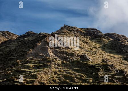 Schafe auf den grünen Klippen von Minaun an der Küste von Trawmore Sand auf Achill Island Stockfoto