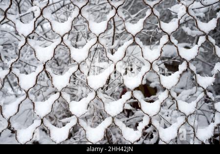 Zaunnetz angesammelt mit Schnee, Struktureffekt, Hintergrund Stockfoto