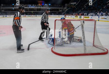 Ishockey, SHL, Djurgarden - Leksand bei hovet in Stockholm Schweden 20220122. Hochwertige Fotos Stockfoto