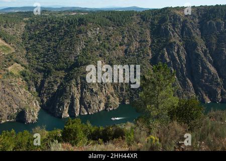 Blick auf den Canyon del Sil von Miradoiro als Fontinas in Parada de Sil in Galicien, Spanien, Europa Stockfoto