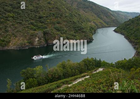 Blick auf den Canyon del Sil in Ribeira Sacra in Galicien, Spanien, Europa Stockfoto