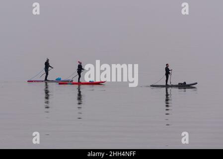 Southend on Sea, Essex, Großbritannien. 23rd Januar 2022. Der Morgen ist bedeckt und nebelig über der Themse Mündung angebrochen, das Wasser ist sehr still und hat wenig Wind. Eine Paddleboarding-Gruppe war schon früh an der Mündung unterwegs und sieht, wie sie bei Ebbe nach dem Southend Pier in Richtung Chalkwell zurückkehrt Stockfoto