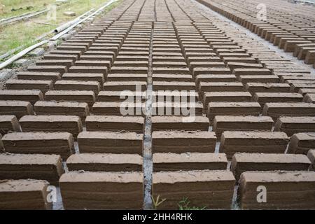 Ziegelherstellung aus Ton. Nachdem der Ton in Ziegel geformt wurde, wird er im Garten in der Sonne ausgelegt und getrocknet, bevor er verbrannt wird, um daraus zu machen Stockfoto